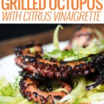 grilled octopus on top of sliced fennel salad