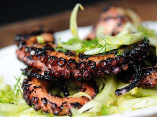 Grilled Octopus Salad With Citrus Vinaigrette Girls Can Grill