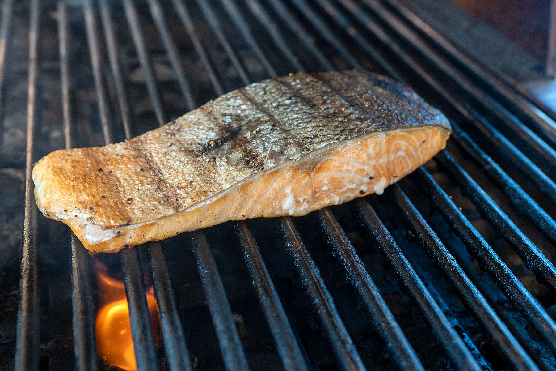 salmon filet on grill.
