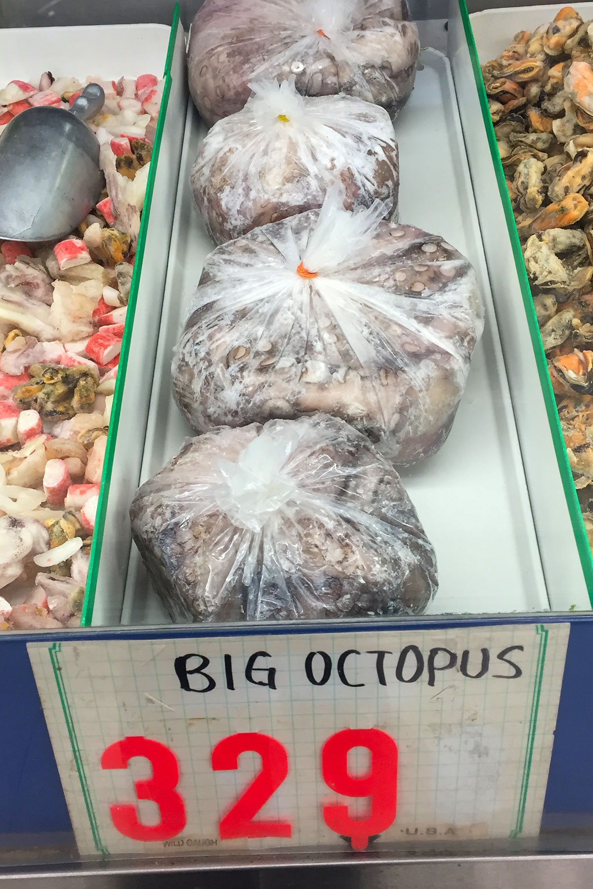 whole uncooked octopus at Asian market. 