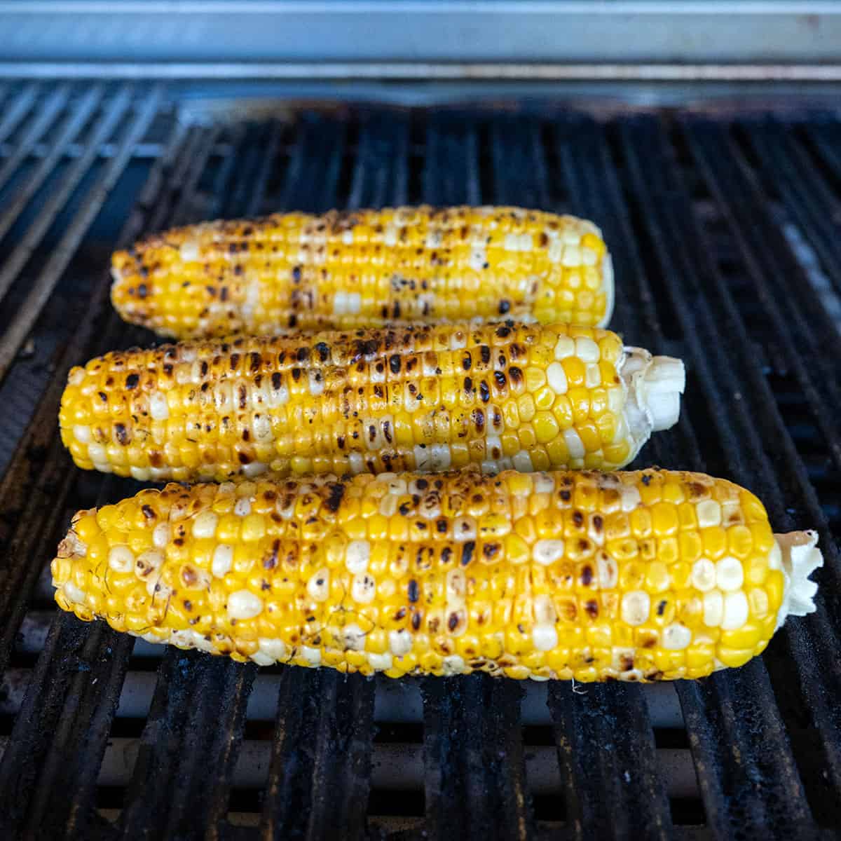 Corn cobs on the grill.