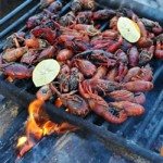 grill grate over campfire covered with crawfish and lemon
