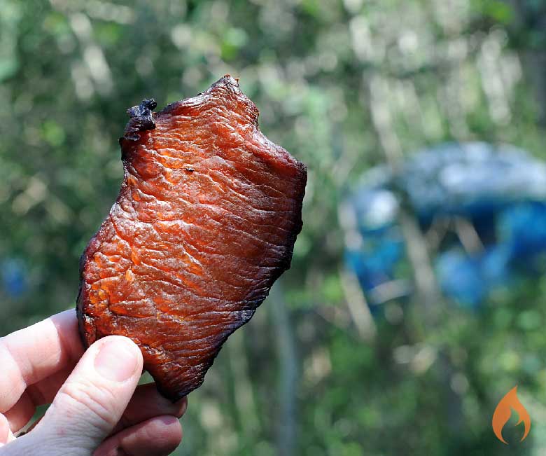 hand holding piece of jerky with trees in background
