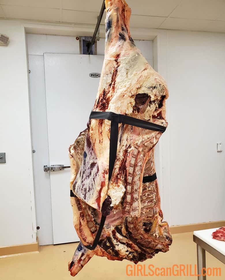 hindquarter of a cow hanging.