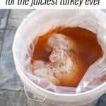 turkey in a bucket of turkey brine