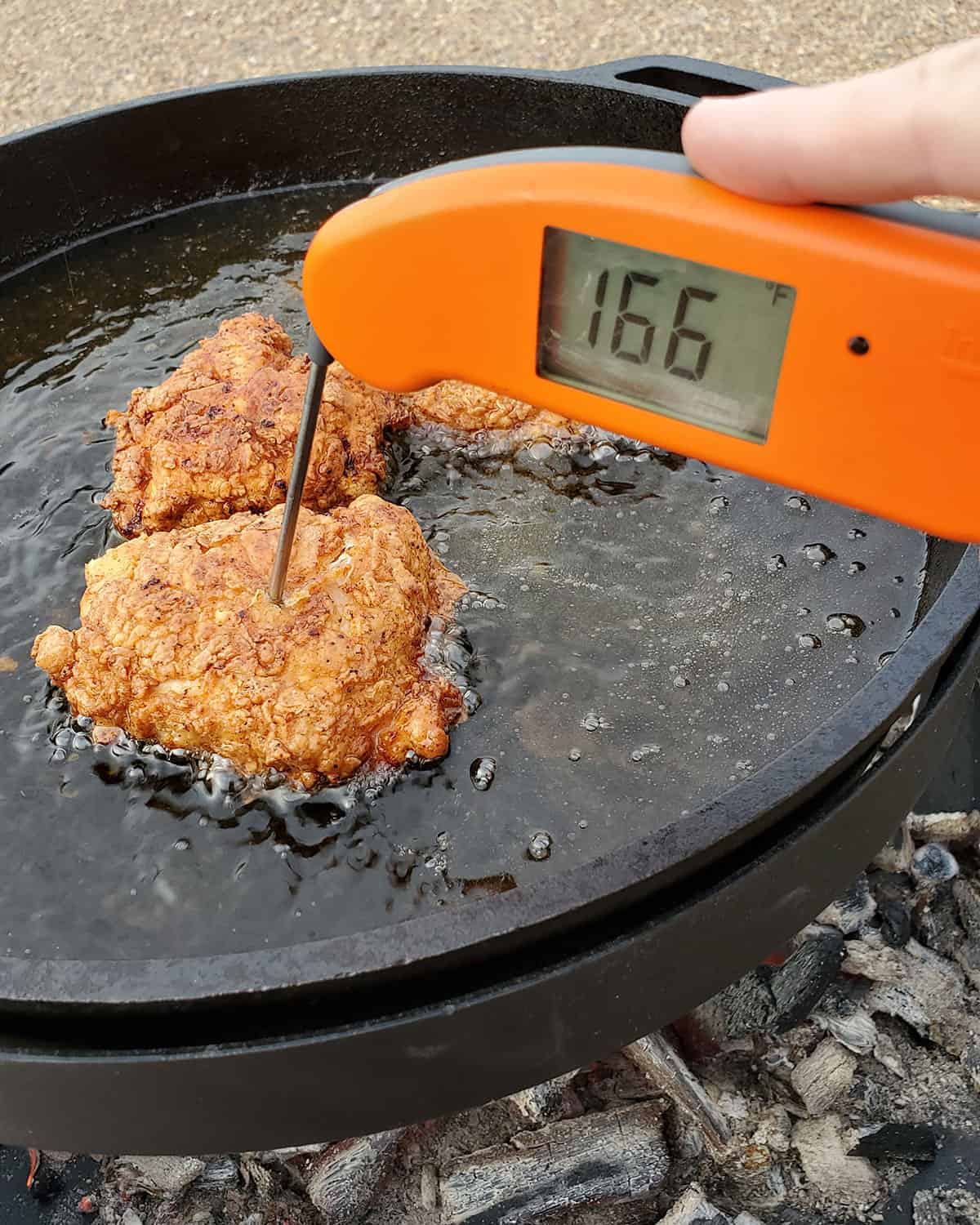 Instant read thermometer showing temperature of chicken is 166.