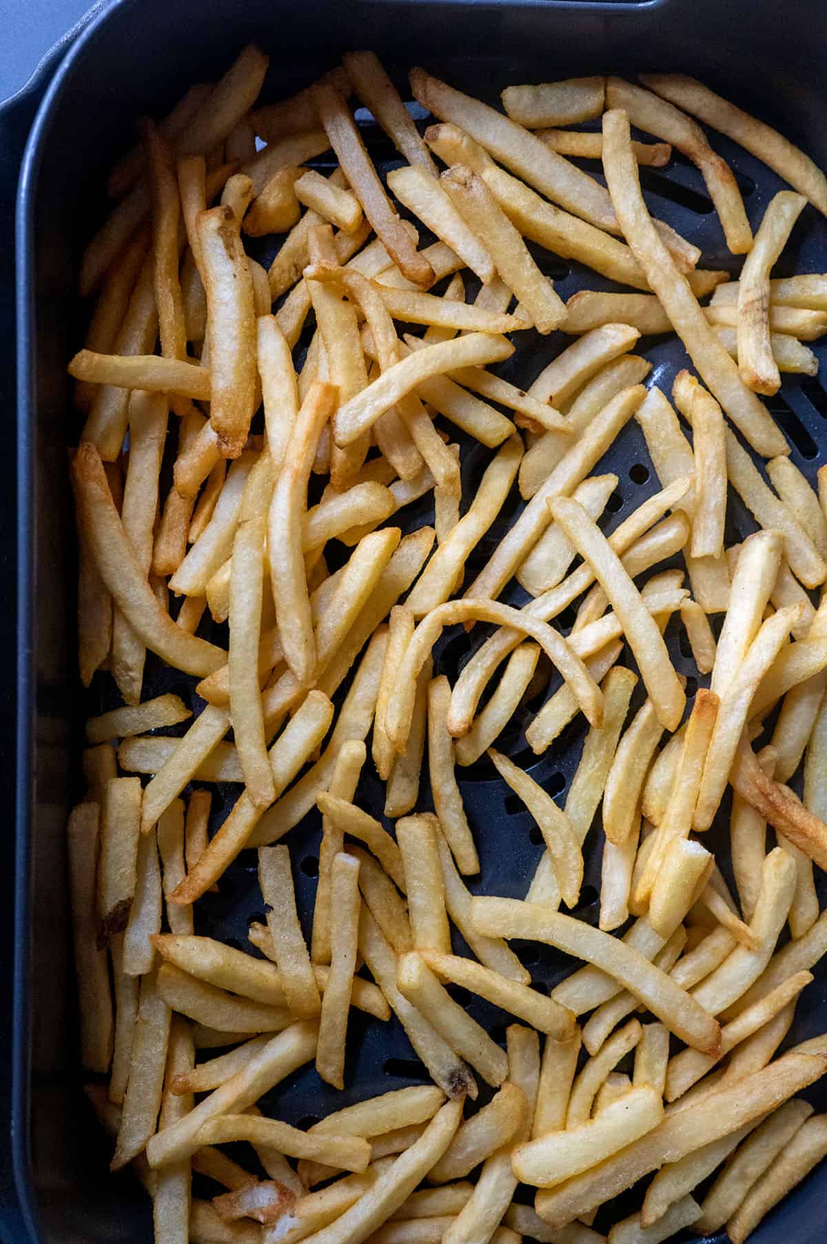 crispy fries in Ninja Grill.