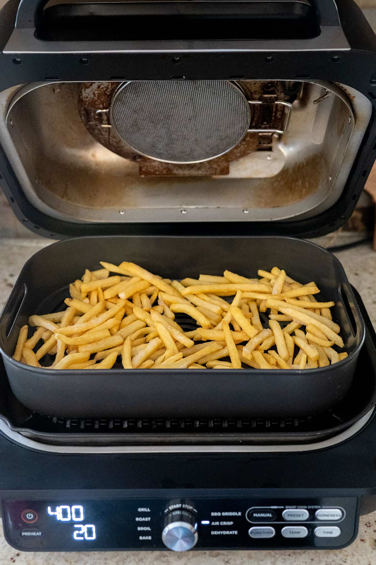 fries in Ninja Grill air crisper basket.