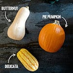 5 winter squash: red kuri, acorn, butternut, pumpkin pie, delicata