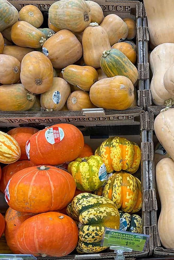 grocery bins full of a variety of winter squash.