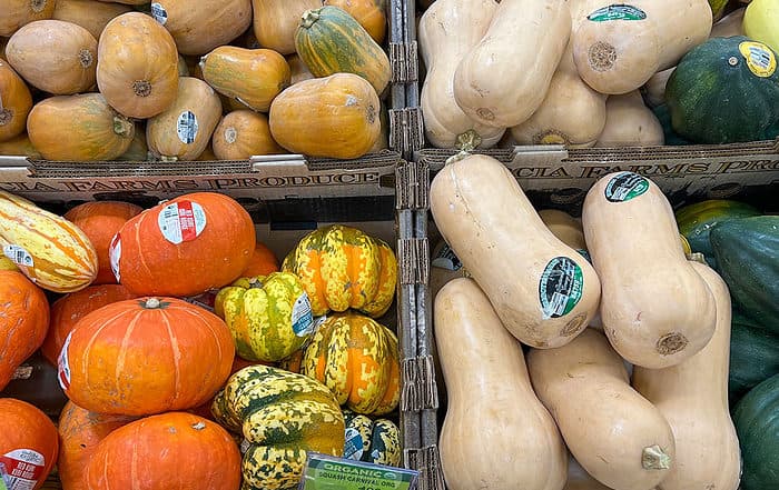 grocery bins full of a variety of winter squash.