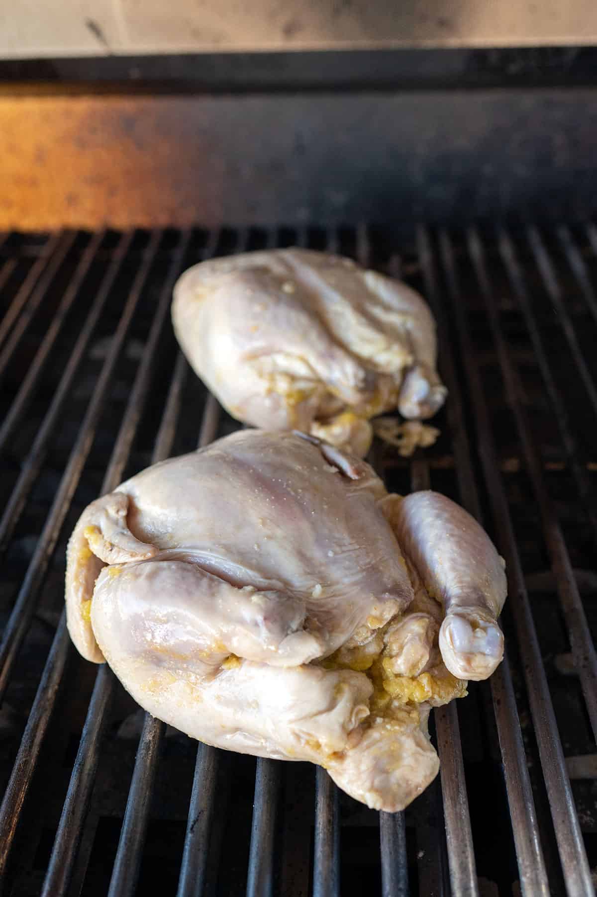two marinated cornish hens on grill.
