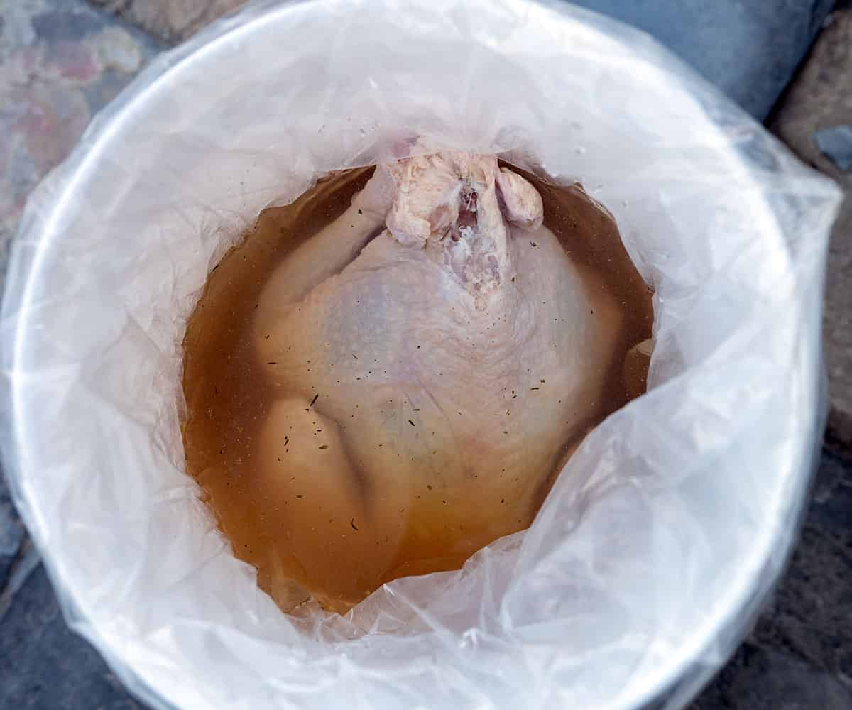 turkey in brine bucket.