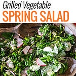 bowl of Grilled Vegetable Spring Salad.
