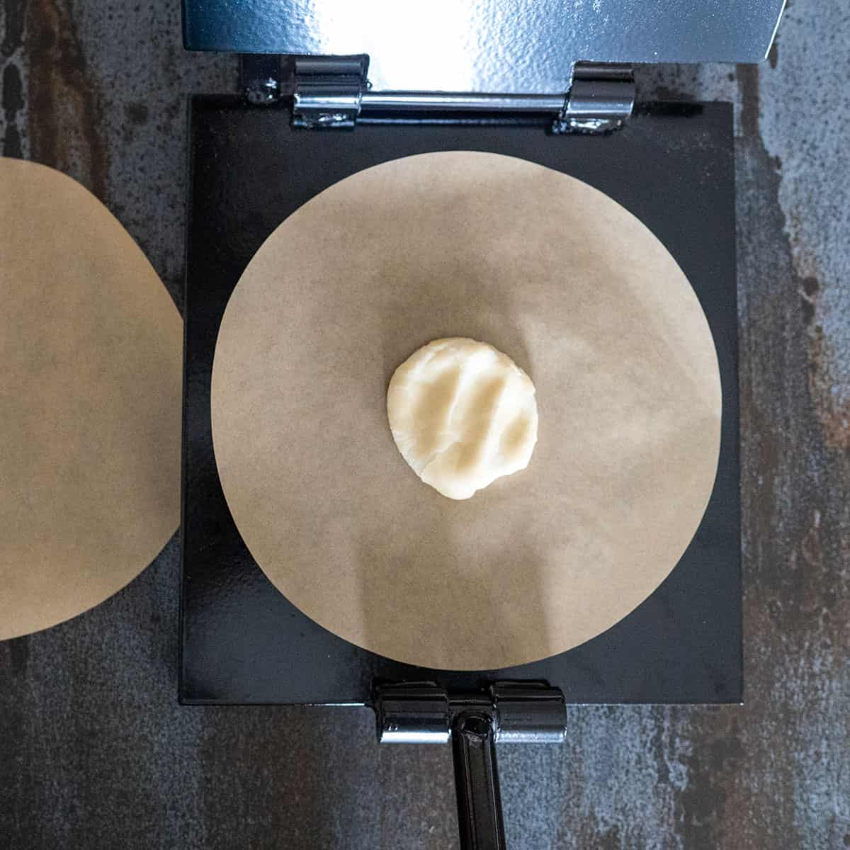tortilla dough ball on sheet of parchment on press.