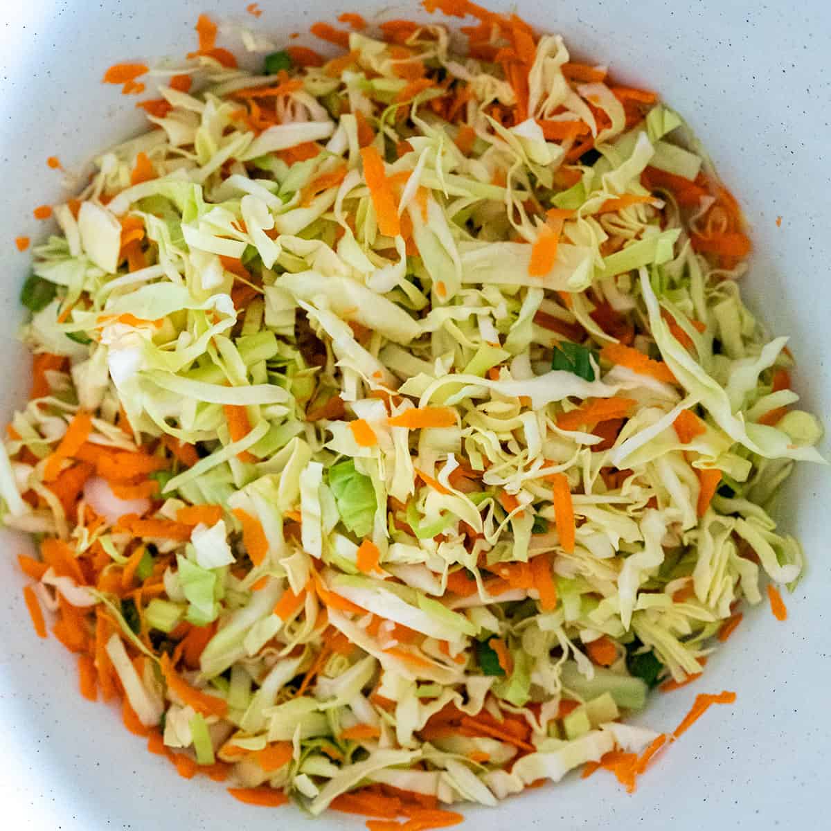 Bowl of shredded cabbage, carrots and green onions.
