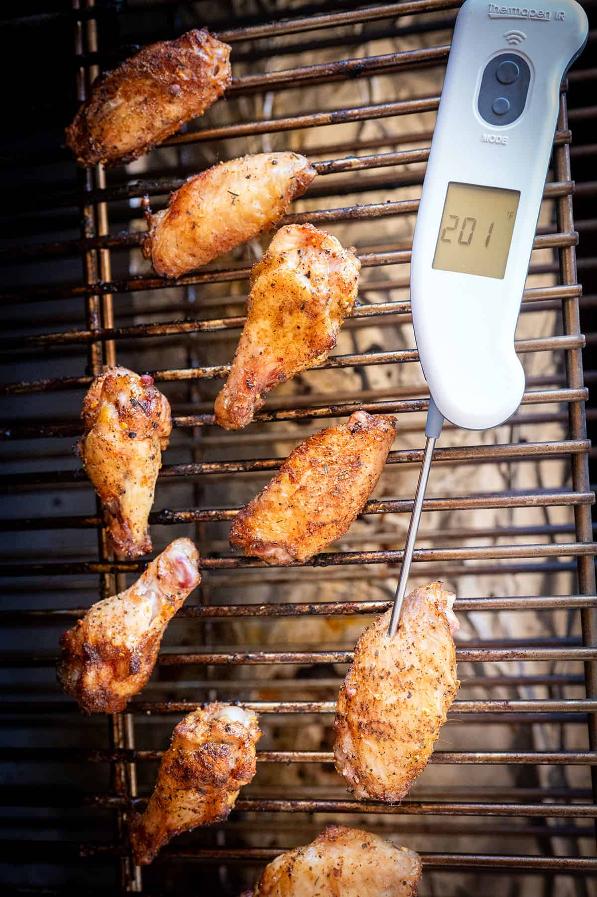 Using a meat thermometer to measure the temperature of a grilled chicken wing.