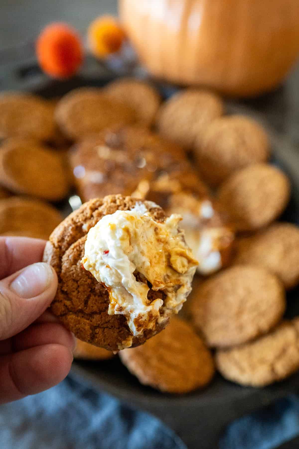 pumpkin spice cream cheese.