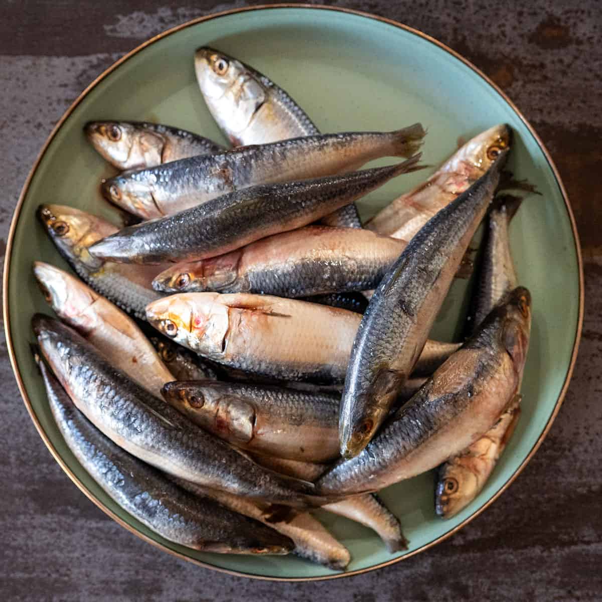 Plate of raw sardines.