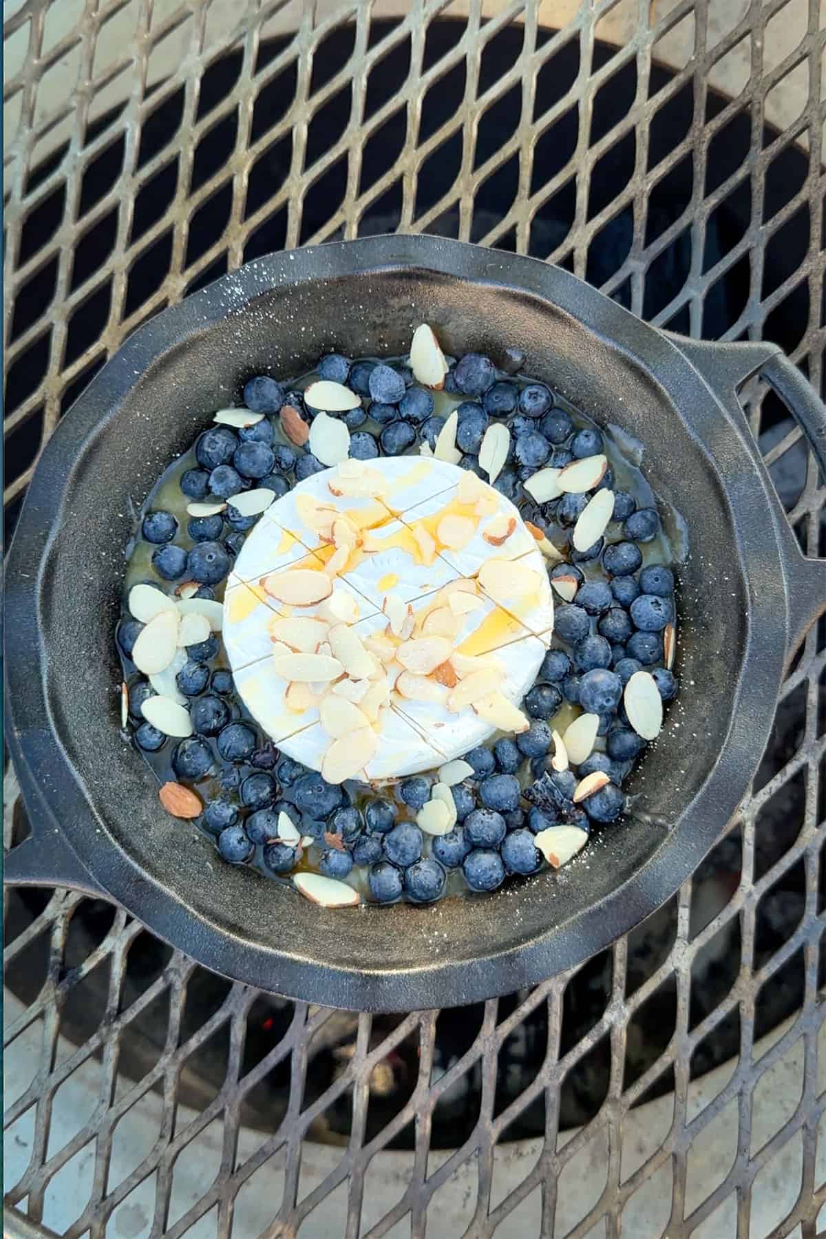 Lemon Blueberry Camembert Skillet Dip