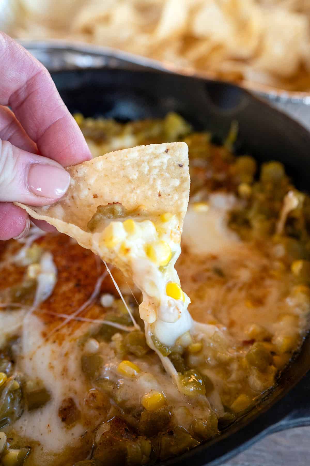 Tortilla chip with Hatch Chile Oaxaca Cheese Dip.