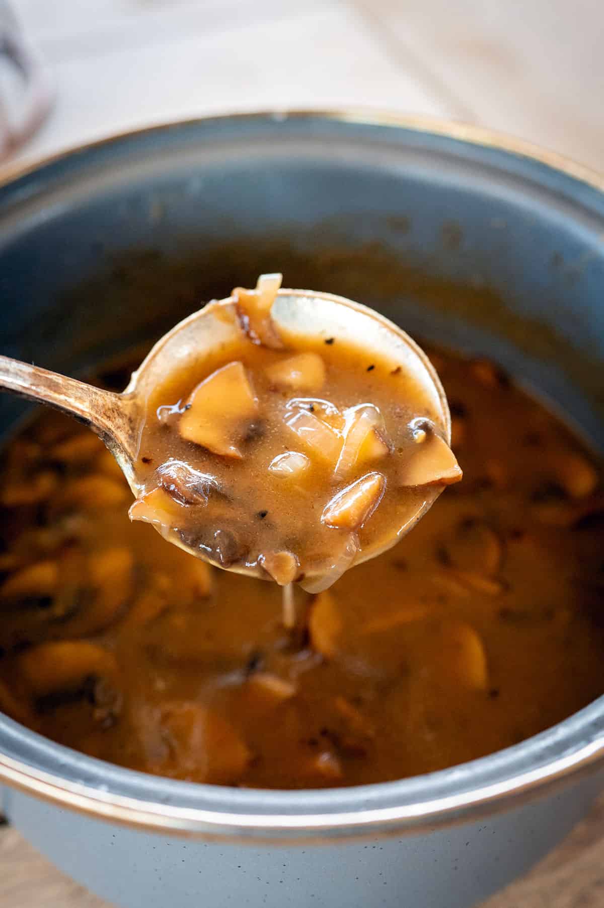 Spoonful of mushroom gravy.